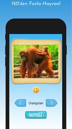 Aklından Bir Hayvan Tut - Screenshot 3