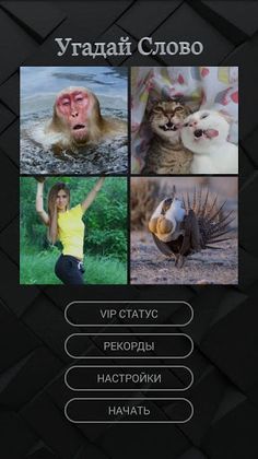 Угадай слово - Screenshot 1