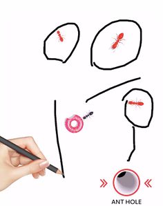 Save the Ant - Screenshot 1