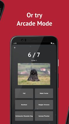 Dog Breeds: Quiz - Screenshot 3