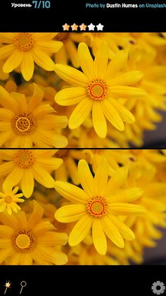 Find 5 Differences - Flowers - Screenshot 3
