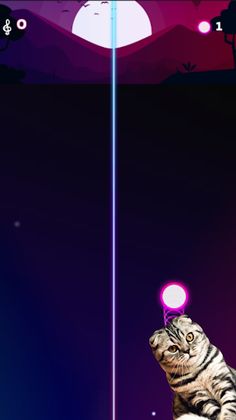 Ball and Beat: Cat Game - Screenshot 3