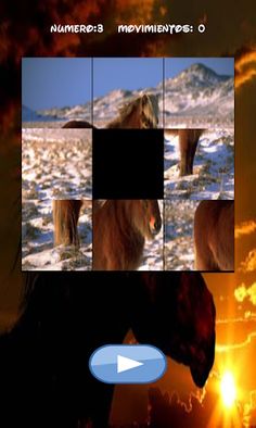 Horses Puzzle, one is hidden. - Screenshot 1