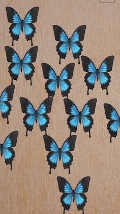 Anti Stress Shapes Pro - Screenshot 1