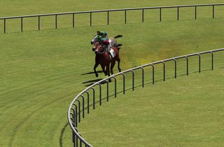 Horsee - Screenshot 3