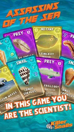 Assassins of the Sea - Screenshot 2