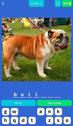 Dog Quiz - Guess the Breed! - Screenshot 2