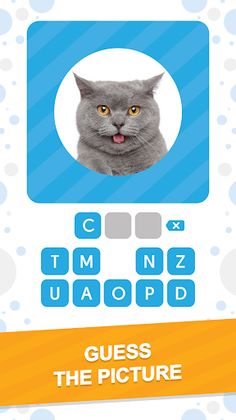 101 Pics: Photo Quiz - Screenshot 1