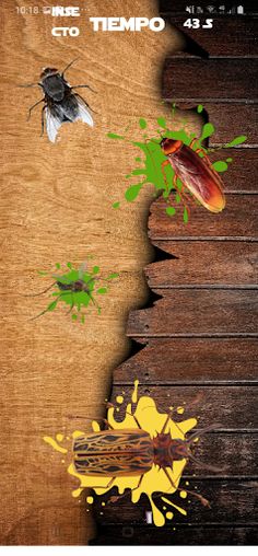 Mosca aplasta kill bugs games - Screenshot 1