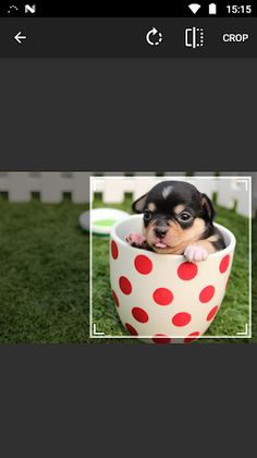 My Puzzle - Screenshot 2