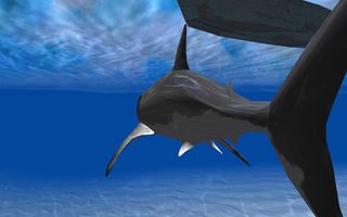 Inside Shark 3D Edition 2015 - Screenshot 1