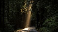 Urban decay - Screenshot 4