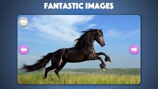 Horse and Pony jigsaw puzzles - Screenshot 1