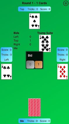 Mini Bridge - Screenshot 2