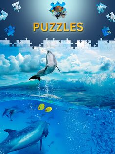 Free Dolphin Jigsaw Puzzles - Screenshot 3