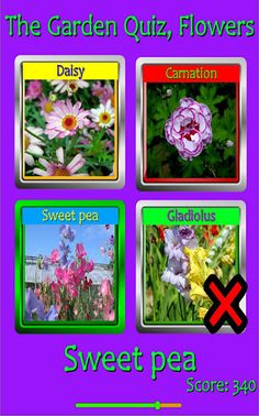 The Garden Quiz: Flowers - Screenshot 3