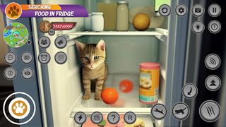 Cat Simulator: Virtual Pet Cat - Screenshot 2