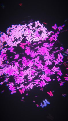 Tickles - Screenshot 3