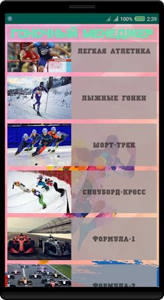 Гоночный Менеджер Алдуды - Screenshot 1