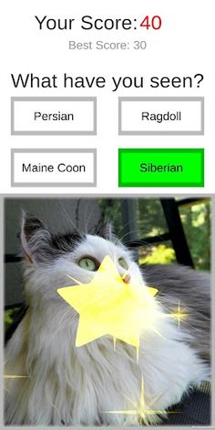 Picture Quiz - Screenshot 2