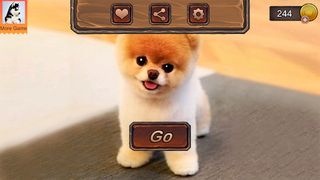 Pomeranian Dog Simulator - Screenshot 1