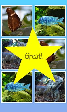 Animal Pairs - Screenshot 2