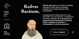 Gyógyító növények számos bajra - Screenshot 1