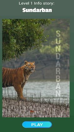 knowledge puzzle quiz game - Screenshot 2