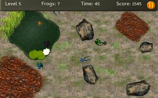 Baby Frogs - Frog Wrangling - Screenshot 2