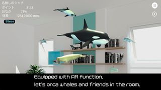 Orca  and marine mammals - Screenshot 3