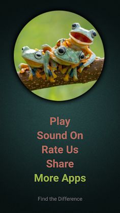Find The Frog - Screenshot 1