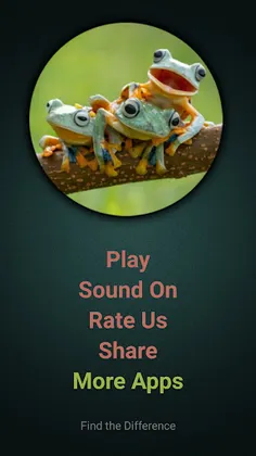 Find The Frog - Screenshot 1