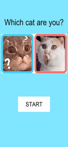 Which cat are you - Screenshot 2