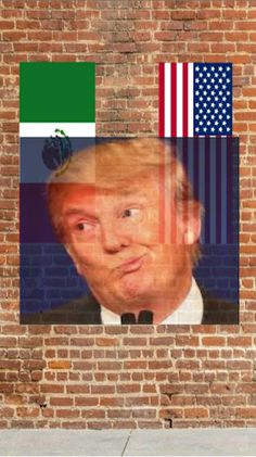 Trump Ninja - Screenshot 2