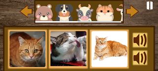 Animal Sound - Screenshot 2