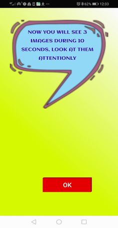 Visual Memory Quiz - Screenshot 2