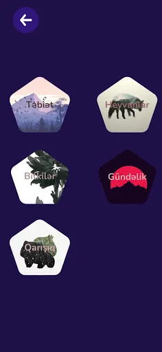 Tapmaca - Screenshot 2