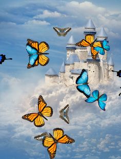 Butterflies App - Screenshot 2