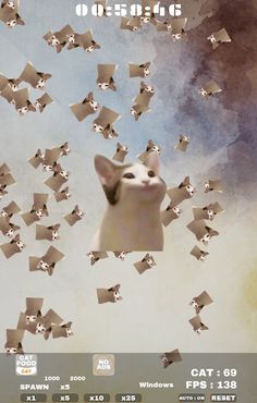 Pop Cat - FOOD - Screenshot 4