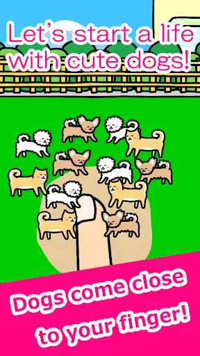 Play with Dogs - relaxing game - Screenshot 2