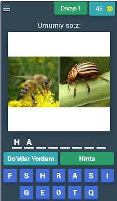 2 ta rasm 1 so'z - Screenshot 1
