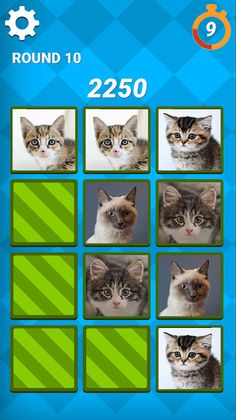 Memory Games: Two Of A Kind - Screenshot 2