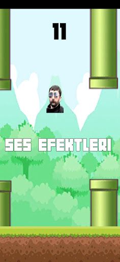 Uçan Gebeş Kaplumbağa - Screenshot 2