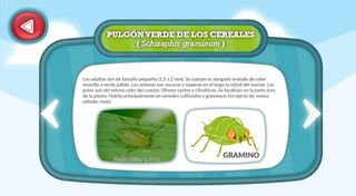 Aphids Attack - Screenshot 3