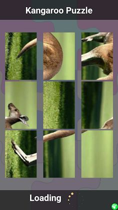 Kangaroo Puzzle - Screenshot 2
