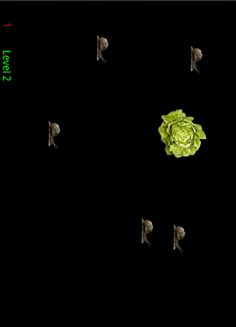 CaraCol - Screenshot 2