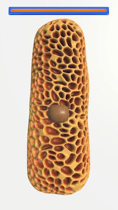 Trypophobia ASMR - Screenshot 4