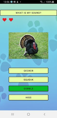 Animal Sounds - Screenshot 4