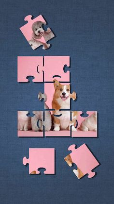 Cute Dog Puzzle - Screenshot 2