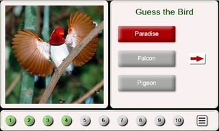 Guess the Bird: Tile Puzzle - Screenshot 1